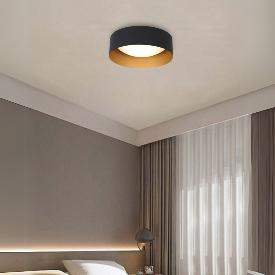 Elisora Ceiling Light