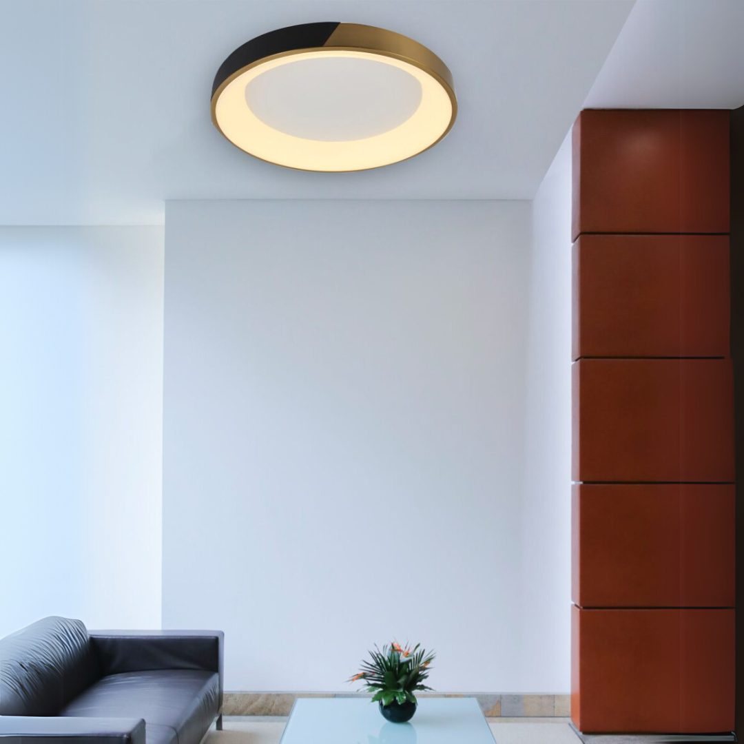 Delisanne Ceiling Light