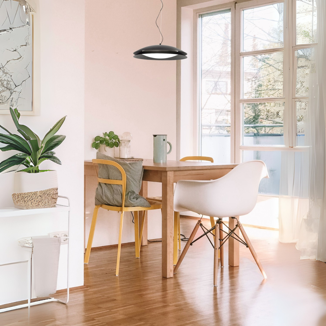 Disque Pendant Light