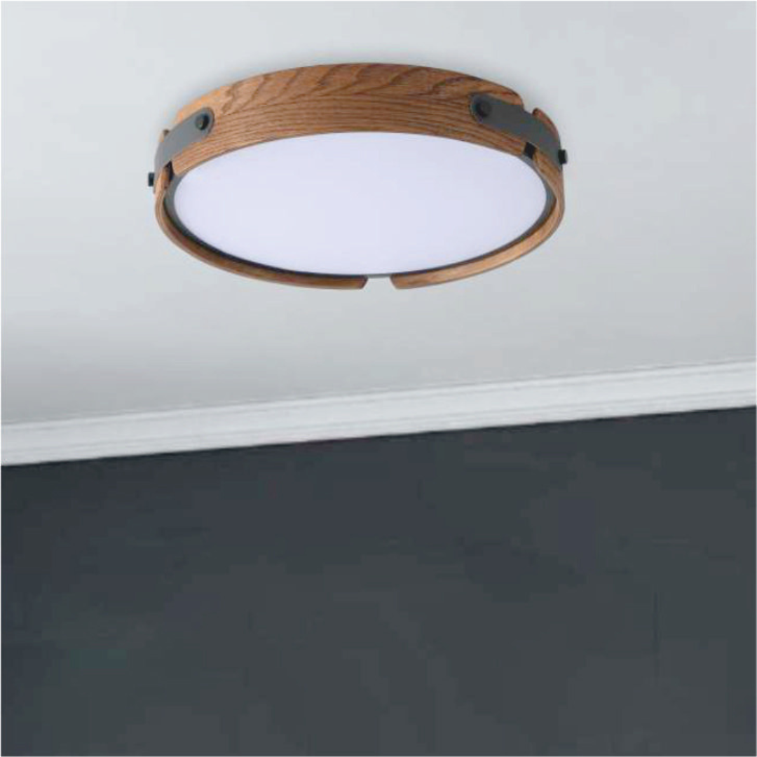 Novara Ceiling Light
