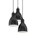 PRIDDY Pendant Light by The Light Library