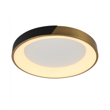 Delisanne Ceiling Light