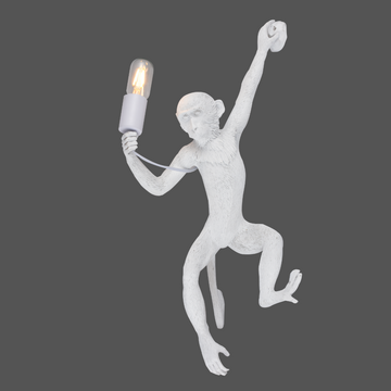Monkey Wall Light