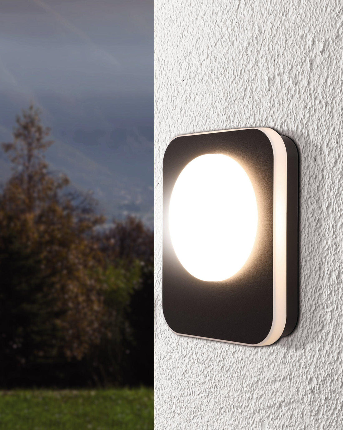 MADRIZ Outdoor Wall Light by The Light Library