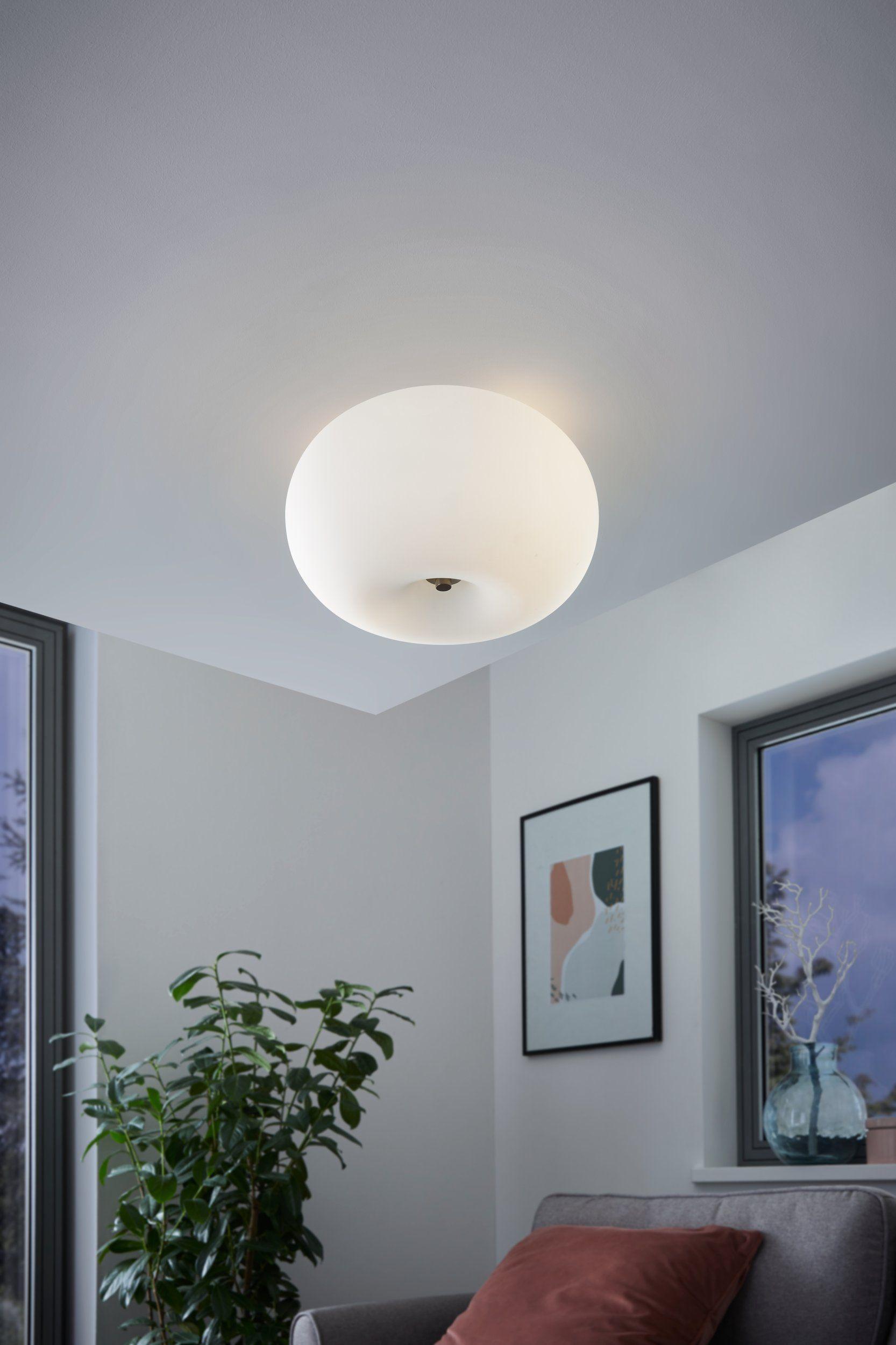 OPTICA Wall/Ceiling Light by The Light Library