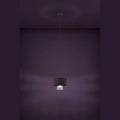SAPUARA Pendant Light by The Light Library